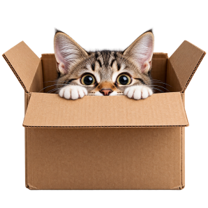 cat peeking out of cardboard box